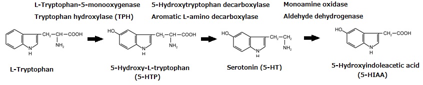 66002-ISM-2-Tryptophan-Setotonin Pathway